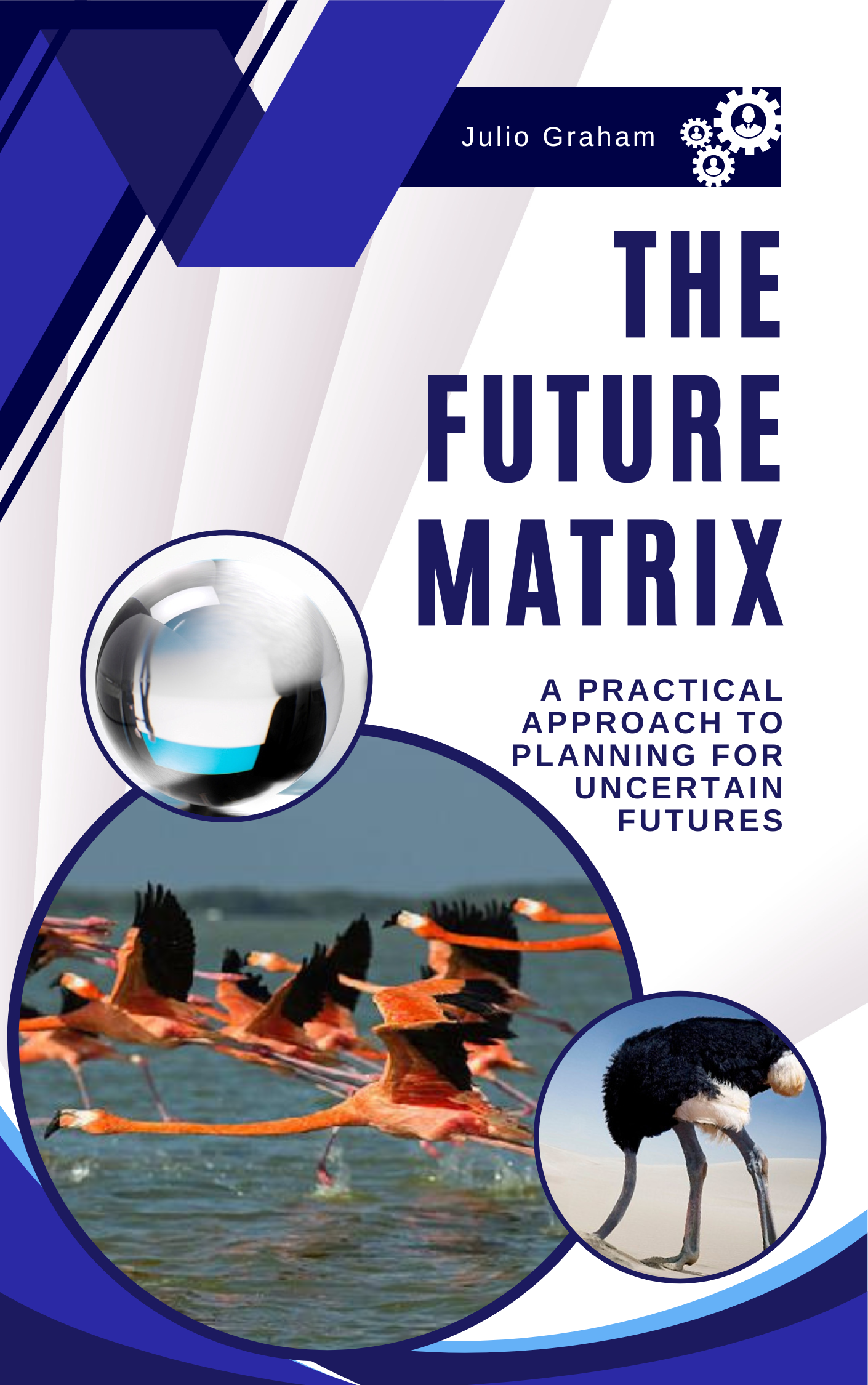 The Future Matrix Book Cover